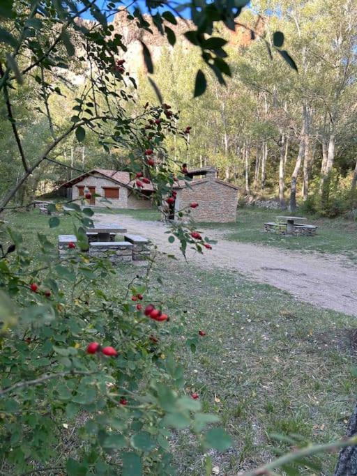 Vistas Del Maestrazgo Apartamentos Rurales Allepuz Kültér fotó