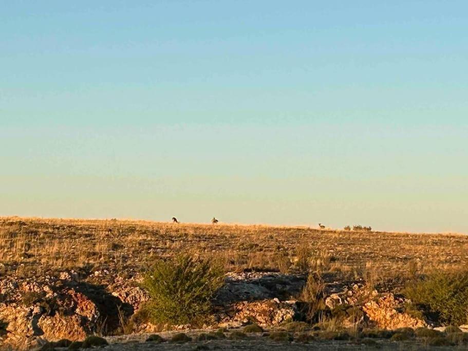 Vistas Del Maestrazgo Apartamentos Rurales Allepuz Kültér fotó